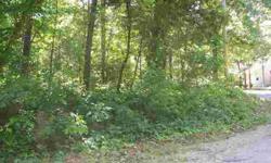 Two level corner lots in the lakeside community of Lakeshore Hills in the Village of Theodosia. These lots have city water and sewer available, close to Bull Shoals Lake, marina, and all the conveniences of town. Will make a perfect spot to build your