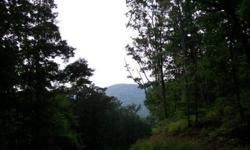 If you've never seen THE HEMLOCKS in Ellijay, you have a treat in store. One of the most, if not THE most, premier subdivisions in the entire county. Lot 15 is priced tens of thousands $$$ lower than any other lot but is among the very best in the
