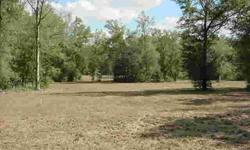 Beautifully cleared 8 acre parcel on State Road 24 just out of Bronson. Electric service and well already in place for your new home. Great location just 10 minutes to Gainesville and still in Levy County with lower taxes. For more information contact