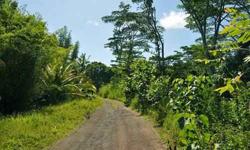 3.05 special hard to find lush tropical acres on Papaya Farms Rd in sunny Kapoho. Growing on the land are several old growth Mango Trees, Ohia and Coconuts too. Two acres have recently been cleared,there is a gentle elevation to the land with many