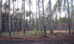 Williams Hill Section, Georgetown County. 41 acres planted in pine trees...perfect for hunting or build and have lots of privacy. Property is located at the end of Bernice Drive.
Listing originally posted at http