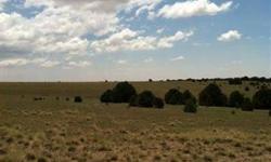 One of the more private lots on the south range ranch, these 140 acres are home to bull elk, deer, and antelope.