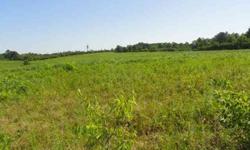 45 ACRES OF BEAUTIFUL LAND WITH RD FRONTAGE ON NAPIER AND CHIEF CREEK RD, GREAT LOCATION, CLOSE TO 1000 TRAILS RESORT (NACO), LAUREL HILL, NATCHEZ TRACE PKWY, GREAT HUNTING, FARMING, GREAT BUILDING SITES, WELL ON PROPERTY, SELLER SAYS MAKE OFFER!!!Listing