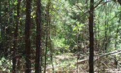 Beautiful secluded property with some marketable timber. Build your dream home or retreat. Los of wildlife and room to roam. All minerals retained by seller. Presently no well on property. Electricity available. Directions