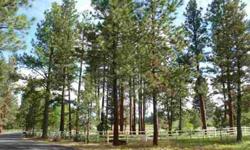 A rare opportunity to build your dream in SAGE MEADOW, Indian Ford Ranch. This home site is over 1 acre in the pine trees and BORDERS PUBLIC LAND to give you that additional privacy. Call your builder; let s go walk the property lines!
Listing originally