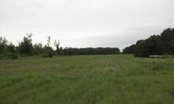 25 acres tillable, 25 wooded. Nice level land. House is a chell only with insulation and poly, Slab home, no frost footings. Value is based on land.
Listing originally posted at http