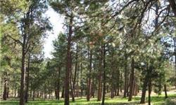 VERY RARE, UNDEVELOPED TREED LOT IN PRESTIGIOUS SPIRIT LAKES SUBDIVISION. CUSTOM HOMES THROUGHOUT DEVELOPMENT. THIS LOT HAS DRIVEWAY AND CULVERT ALREADY ESTABLISHED. BEAUTIFUL MATURE PONDEROSA PINES ACROSS ENTIRE LOT. ZONED FOR HORSES. NEIGHBORHOOD BOASTS