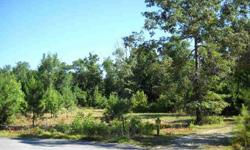 Beautiful unrestricted acreage with septic lines already installed and brick foundation already on lot. Your choice of plans for 2 magnificent homes that fit this foundation. Pond makes an attractive water feature. Located on cul-de-sac in Broad Creek