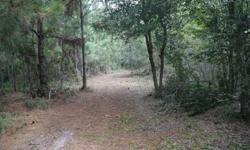 26.6 acres lot in Country World Village near Champions Gate Blvd. Green Swamp Area ZONED RURAL. 20 minutes to Disney World Parks and 35 minutes to Orlando International Airport & Downtown Orlando. Enjoy living in the country not to far from the city. Call