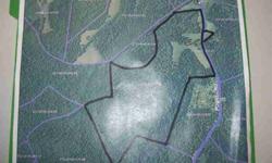99 acres of pristine land. 7 miles from town. Beautiful building sites and plenty of heavy woods for hunting. Complete fencing - pond on property. If privacy is what you have been looking for - this could be your answer. Call today - tracts this large