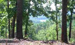 Build your dream home or just use as an investment property. Was originally priced at $209,000 a few years ago. One owner is a licensed Arkansas real estate agent.
Listing originally posted at http
