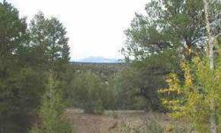Gorgeous views, super location, good tree coverage only 10 miles north of downtown Salida