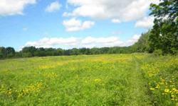 COUNTRY ACREAGE IN A PERFECT LOCATION WITHIN THE FINGER LAKES REGION CLOSE TO ITHACA AND TRUMANSBURG ----- This 25 acre prime property is halfway between the City of Ithaca and the Village of Trumansburg with over 500' of frontage on NYS Rte 96. There are