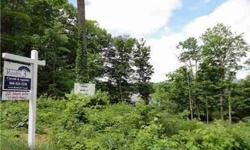 Lightly treed lot on a country road setting offers over 1 acre of land. City water and sewer is available. Existing well can be used for irrigation.
Listing originally posted at http