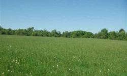 Beautiful and private 10.31 acre lot close to Saratoga Springs, Tech Park and shopping malls. Wooded and pastures, great for horse lovers. Owner financing available with 20% and financial review. Some deed restrictions.
Listing originally posted at http