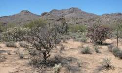 MOTIVATED BANK HAS REDUCED PRICE!! One of 3 Banked Owned Lots. This one is 4.13 Acres with beautiful views of the Tortolita and Catalina Mountains. Located in a small enclave of luxury homes. Paved access. Electric, phone, and gas available. Existing