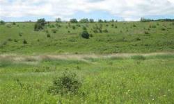 An open 20-acre parcel, wind-swept and pure as a high prairie. Overlooks Lake Michigan, and has a rustic barn in one corner. Lovely building site, with spacious views and room to grow. There is a wetland section adding to the beauty and bountiful