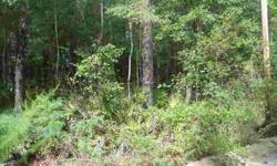 Two acres on paved county road. Peaceful country living just minutes to Fort Stewart and Hinesville.Listing originally posted at http