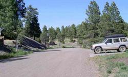 Treed lot, close to lake ane amenities. $1000.00 Bonus to selling agent.
Listing originally posted at http