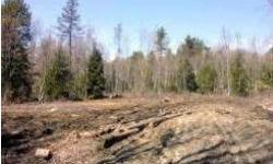 BUILD YOUR SNOWMOBILE CAMP ON THIS 8.9 ACRES NEXT DOOR TO THE SAILSBURY RIDGE RUNNERS CLUB. ALSO PERFECT FOR HUNTING. LOT IS CLEARED AND READY FOR BUILDING.
Listing originally posted at http