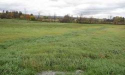 Very convenient location just outside Little Falls. Country field lot - beautiful spot for a home. Part of a larger parcel - Taxes to be determined.
Listing originally posted at http