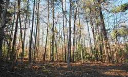 156 Caroline Dr in Coleridge Park! .72 acre level lot in Excellent location in Roebuck close to Spartanburg with easy access to I-26. I-85 and Hwy 221, yet in a prime location with low traffic, large lots and space between neighbors. Acreage is level with