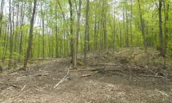 5 acres of private woodlands to enjoy year round. Bring your tent, RV, or build a home. Great location for a hunting cabin. Please call for restrictions.