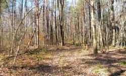 NY RECREATIONAL LAND IN THE TUG HILL REGION ----- Own a 5+ acre wooded lot and ride your ATV or snowmobile on the area designated trails, hunt in the nearby NYS Forest or fish in the nearby Salmon River. Located on a private road and only 650' from a town