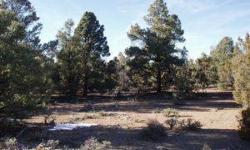Beautiful treed acreage, remote and secluded. Water rights available through application with the state. Lots of wildlife, elk and deer, old mining district nearby.Listing originally posted at http