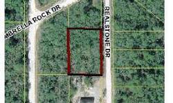 OWNER FINANCING AVAILABLE! Nice building lot on .64 acre (mol) in homes only area of Ridge Manor Estates. Secluded quiet area great for investment or to build your home in paradise, Close to the Withlacoochee River, Croom riding trails, state forest,