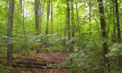 Huge trees, and a fantastic building site make this property a true bargin. Plus, there isn't much you can't do as far as recreation goes. Little Long Lake is across the road and Roberts lake is just down the road. The vast Chequamegon-Nicolet National
