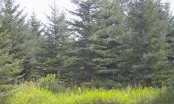 Beautiful 11 acres of partially wooded land, would make for a great building spotListing originally posted at http