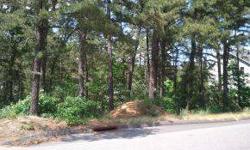 Situated in Pine Lake Park, this wooded oversized land has beautiful mature trees on property to build your new home on this lot and keep the trees and nature to surround you with privacy! Located close to highways, great shopping and just a short distan