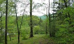 Beautiful 3.68 acre residential lot with year round mountain views facing west. Off Beaverdam Road in north Asheville. Utilities available at road