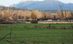 Beautiful 20 acre riverfront parcel in the heart of the Snoqualmie Valley. Quiet road, fabulous mountain view. Fertile loam soil type makes this perfect for crops or livestock. Currently being used partly for cattle grazing, partly for flower and