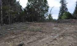 Building site roughed in, some rock down,Shelley Road water district water available. Own this beautiful 11.7 acre parcel, zoneed RR-5. Ideal secluded spot for your custom built home or Mfr. home. Also see adjacent listing #10062749 with 2650 sq.ft.