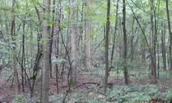 Wooded acreage close to Tuscarora Wild Area State Forest & State Game Lands $171. Boarders Rt 333 * Norfolk Southern Railway. Owner will perk with acceptable offer. Listing agent is related to seller.Listing originally posted at http