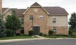Absoluhtely Charming 1 Bed Condo In Quiet Subdivision Near Metra, Shopping, and Forest Preserve. Unit is Equipped with Secured Entry, Spacious Concrete Patio, Laminate Flooring, Washer/Dryer, Walk In Closet, and Lots More! Not a Short Sale Make Offer with