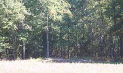 126.8 acres of wooded land. River runs along one side and gravel along other side. Timber has not been cut in a long time. Currently used as hunting farm. Great price on this one. We also have property on both sides of ths river and both sides of highway.