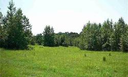 Partially open and partially wooded rolling land. Good soil. Great place on property for lake. Could be used for cattle or hunting property.
Listing originally posted at http