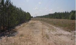 Pine Song @ Cypress Bay is a 60+/- acre private tract of land located in southern Hampton County and bordered by the National award winning Cypress Bay Plantation, Pine Song @ Cypress Bay is an upland pine plantation with planted loblolly and natural long