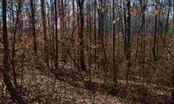 BUILD YOUR DREAM HOME OVERLOOKING THE ALCOVY RIVER PERK TESTED FOR SEPTIC, COUNTY WATER. PERFECT PLATUE CENTERED ON THE PROPERTY FULL BASEMENT POTENTIAL. LOTS OF HARDWOOD TREES.Listing originally posted at http