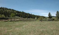WOLF CREEK RANCH - a special group of parcels created from the original Thompson Homestead holdings. The parcels are on the south side of Wolf Creek, with 2 private bridges for access. Lot 7 offers 2 great building sites