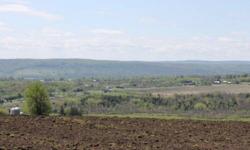 NEW YORK FARMLAND FOR SALE with EASY OWNER FINANCING! ----- Top of the Hill --- SPECTACULAR VIEWS! Rich/fertile farmland with hedgerows and 360 degree views of Mohawk Valley and Adirondack Foothills. This parcel has pre-existing driveway and small barn.
