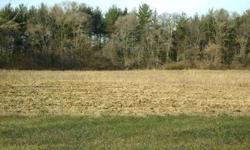 Gorgeous setting on 5 peaceful acres in the Village of Bristol! Country subdivision with fantastic access to Illinois. Subdivision convenants and restrictions in place. Don't Wait!!Listing originally posted at http