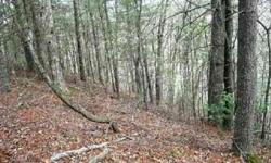 A wooded building lot overlooking the Cartecay River. Close to town. A nice subdivision with underground utilities, paved roads, county water, community pool and tennis courts. The seller paid $93,000 so this is a great Short Sale opportunity. SaListing