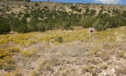 3.81 Acres of mountain view property, 8 miles from Seligman, Az. Great unobstructed views. Power lines approx. 50 ft. from property line. Less than 3 miles to paved road, dirt roads are well maintained. Property # 301-25-222 Yavapai county AZ 54710 N