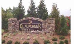 Large Private Lots located minutes to I40, Great Schools, Shopping and Healthcare. Underground Utilities, wooded buffers and surrounding natural areas.
Listing originally posted at http