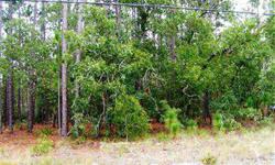 Gorgeous homesite located in Boiling Spring Lakes. This partially cleared site is ready for you to build your dream home on. Adjacent lot is also available MLS#667742 .Listing originally posted at http