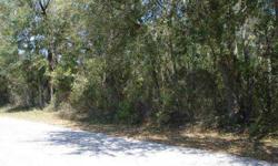 Property is within city limits of Live Oak. It is zoned for a mobile home. A paved road on two sides (corner lot) makes the property appealing. Ride by and see the property. SELLER MOTIVATED!Listing originally posted at http
